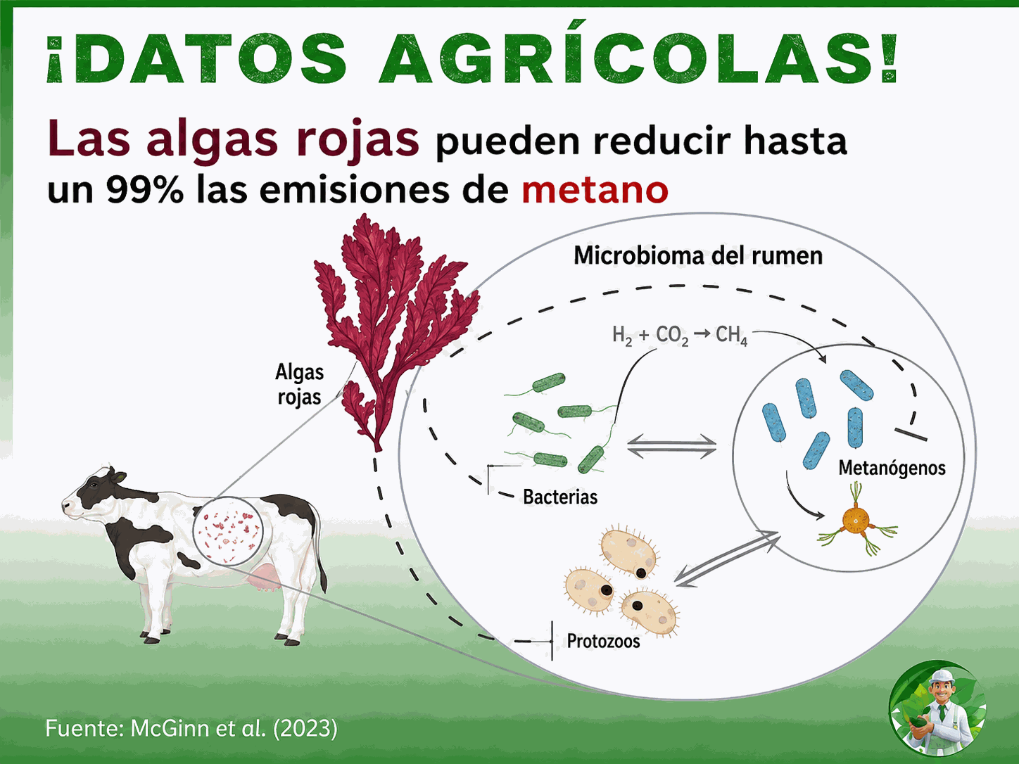 Datos agrícolas sobre algas rojas y reducción del metano